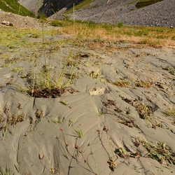 2015-07 Savoie/Refuge du saut/DSC_0152.JPG